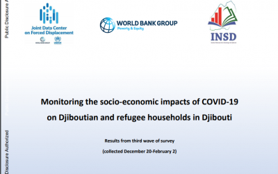 Monitoring the socio-economic impacts of COVID-19 on Djiboutian and refugee households in Djibouti – results from R3