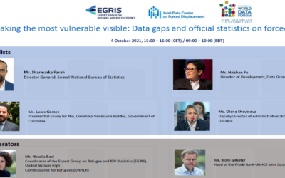 Making the most vulnerable visible: Data gaps and official statistics on forced displacement| UNWDF EGRIS-JDC Session