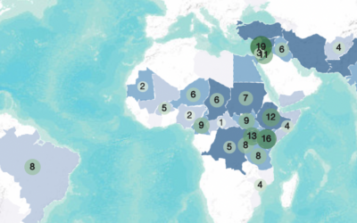 Gaps in Microdata in the Context of Forced Displacement