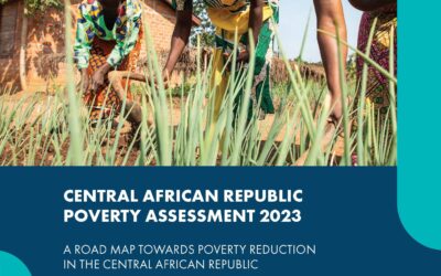 A Roadmap Towards Poverty Reduction in the Central African Republic