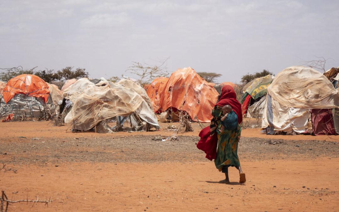 Findings from Somalia Displacement Phone Survey (2022)