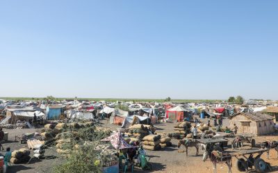 South Sudan HBS