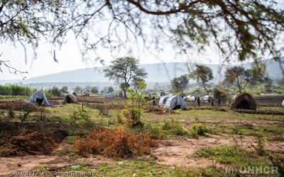 Data on the Forcibly Displaced From Statistical Shadows to Inclusion – 2026