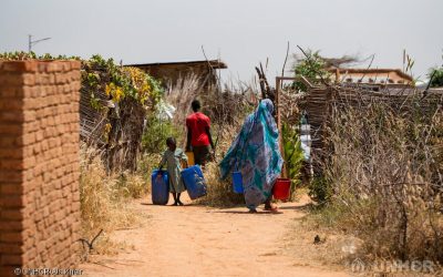Food Security Indicators in Chad, Ethiopia, Malawi and Uganda