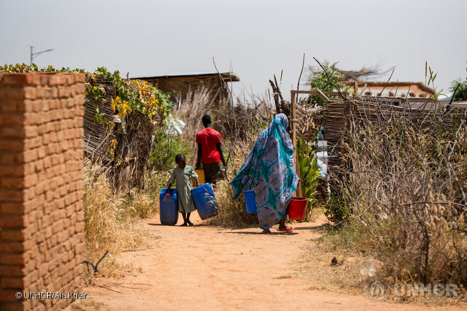 Food Security Indicators in Chad, Ethiopia, Malawi and Uganda