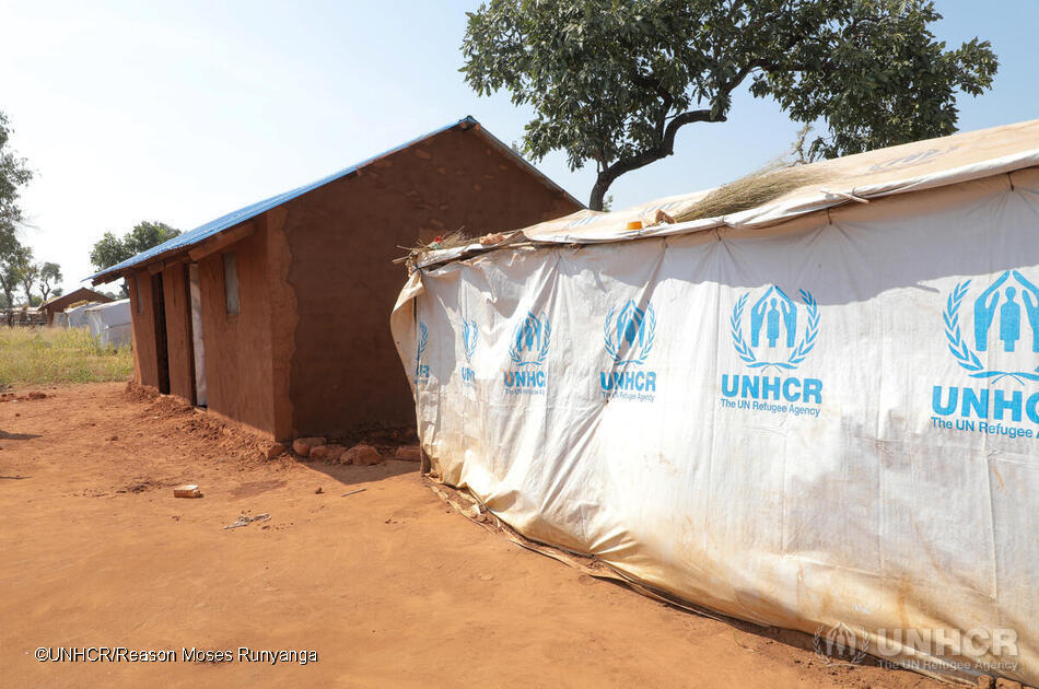 South Sudan – Forced Displacement Survey, 2023