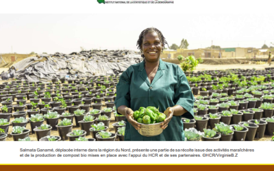 Burkina Faso: Enquête Socioéconomique et de Protection des Populations Déplacées Internes et des Communautés Hôtes (2025)
