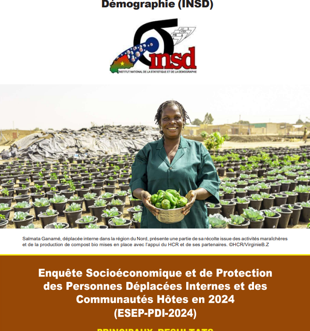 Burkina Faso: Enquête Socioéconomique et de Protection des Populations Déplacées Internes et des Communautés Hôtes (2025)